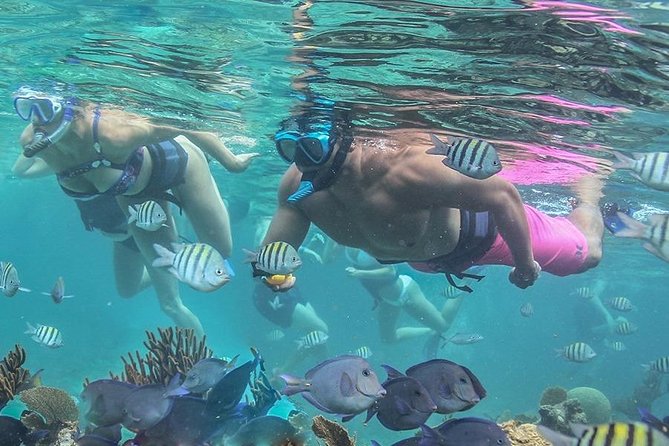 Luxury sailboat in Isla Mujeres - Dining and Drinking: Gourmet Lunch and Open Bar Details