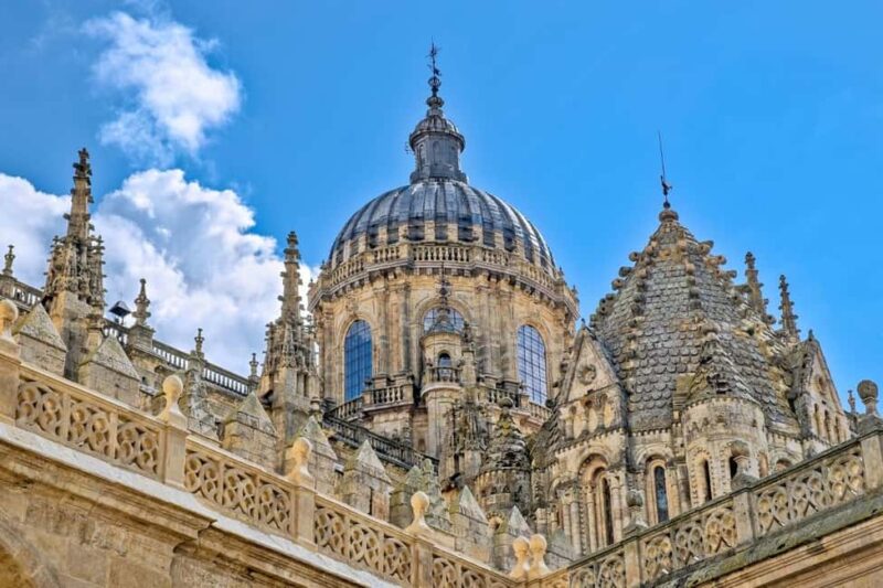Luxury Salamanca & Iberian Ham Tour from Madrid - Explore the Heart of Castilla y León with a Luxury Private Tour from Madrid