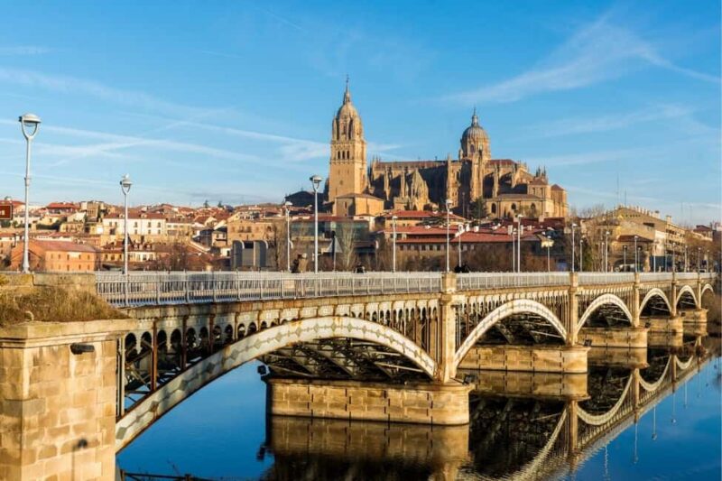 Luxury Salamanca & Iberian Ham Tour from Madrid - Key Points