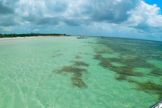 Luxury Sandbar and Snorkeling trip in Key West - Snorkeling at the Coral Reef and Marine Highlights