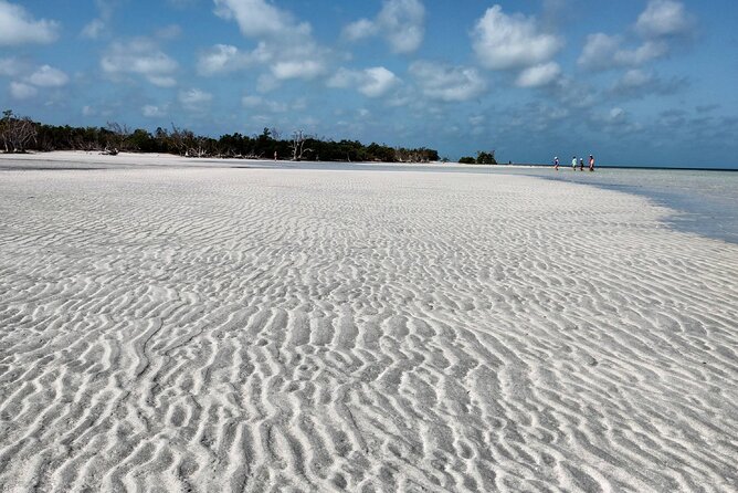 Luxury Sandbar and Snorkeling trip in Key West - Ease of Booking and Meeting Arrangements