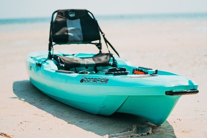 Luxury Single Kayak Tour To An Island Off Clearwater Beach! - The Guide and Customer Experience