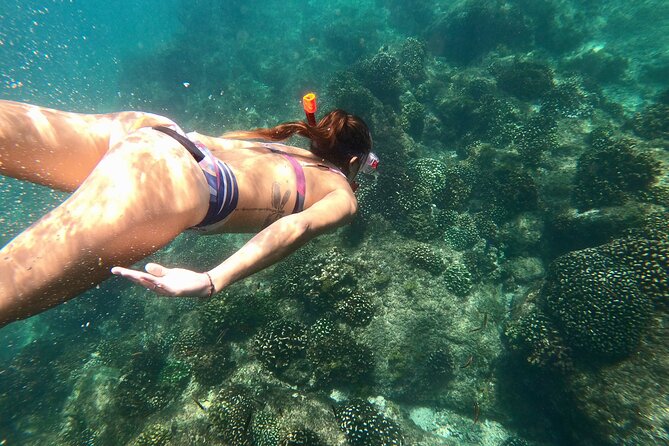 Luxury Snorkel Adventure in Cabo - Key Points