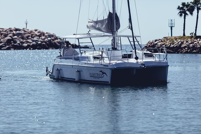 Luxury Snorkel Adventure in Cabo - Logistics: Transfers and Meeting Point