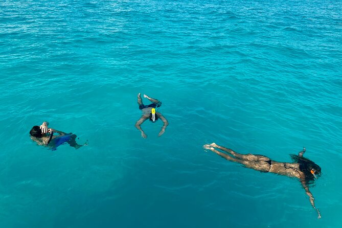 Luxury Snorkeling Excursion in Cancun MasterCraft X-Star 2hr - Key Points