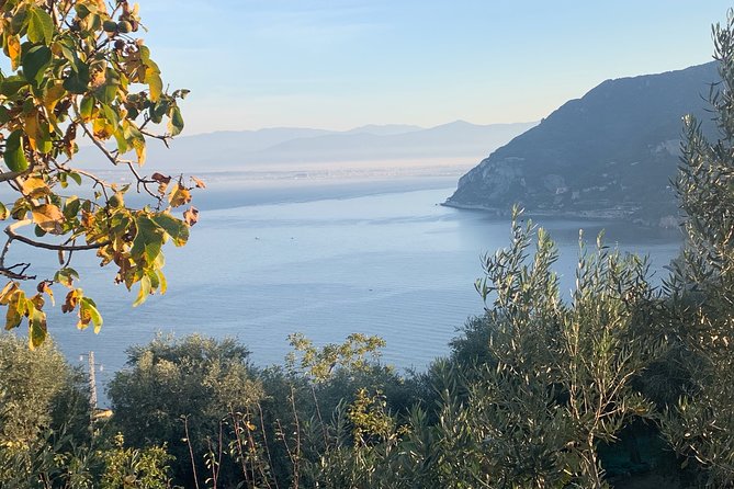 Luxury Tour Amalfi Coast by Van Mercedes - Practical Details and Included Amenities