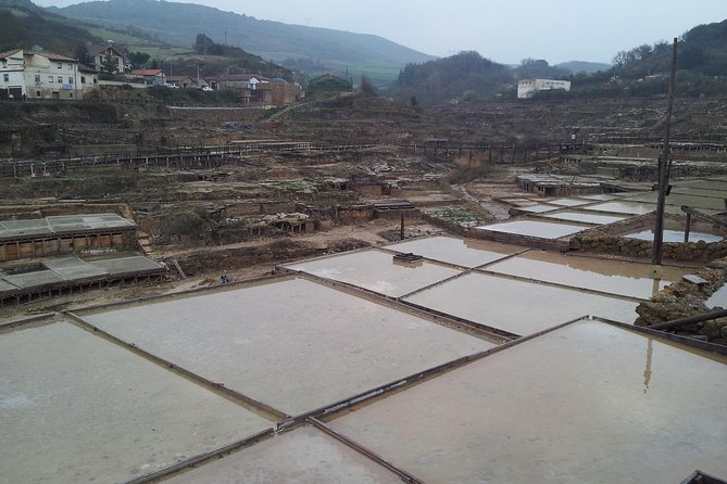 Luxury Tour By Alava (Vitoria-Gasteiz and Salinas De Añana) - Customizable Experience and Flexibility