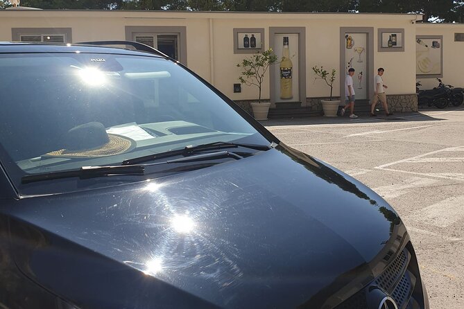 Luxury Tour from Positano to Pompeii and Naples City - Who Will Enjoy This Tour?