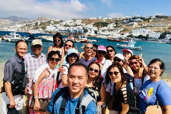 Luxury Tour of Mykonos with English-Speaking Driver - Relaxing at Elia Beach and Other Beautiful Sands