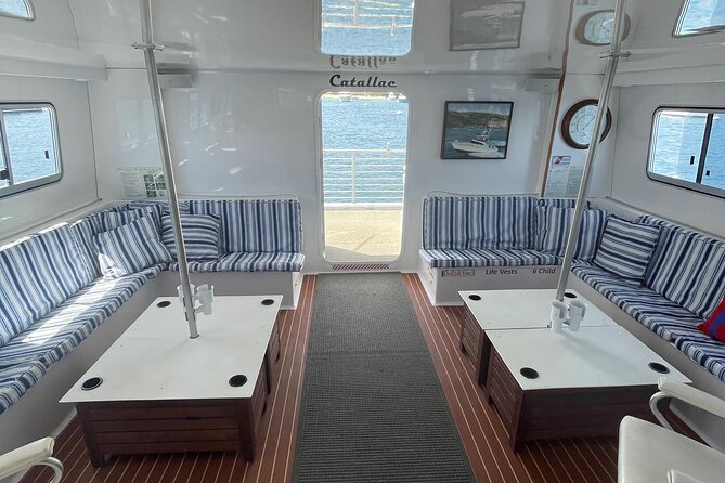 Luxury Whale Watching: Fewer People, Extra Speed, Expert Staff - The Experience with Guides and Crew