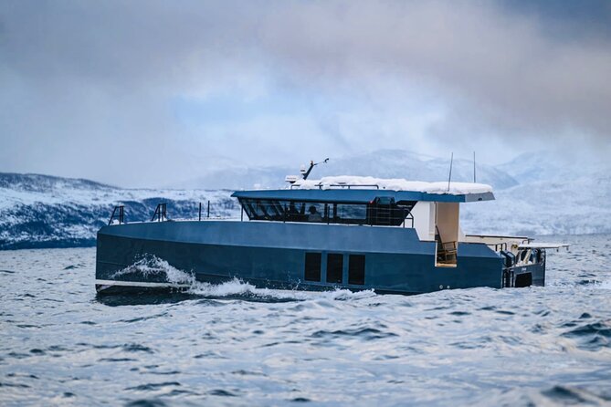 Luxury Whale Watching From Tromso - Small group and local guide - Exploring Tromsø Fjords Before Reaching Whale Habitats