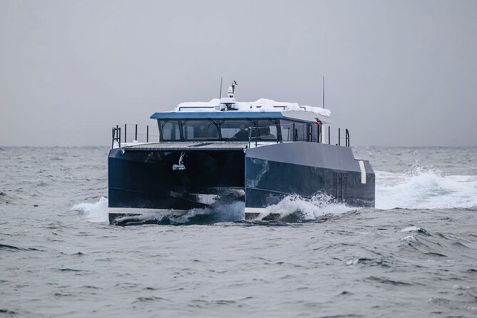 Luxury Whale Watching From Tromso - Small group and local guide - Gourmet Dining and Refreshments Onboard