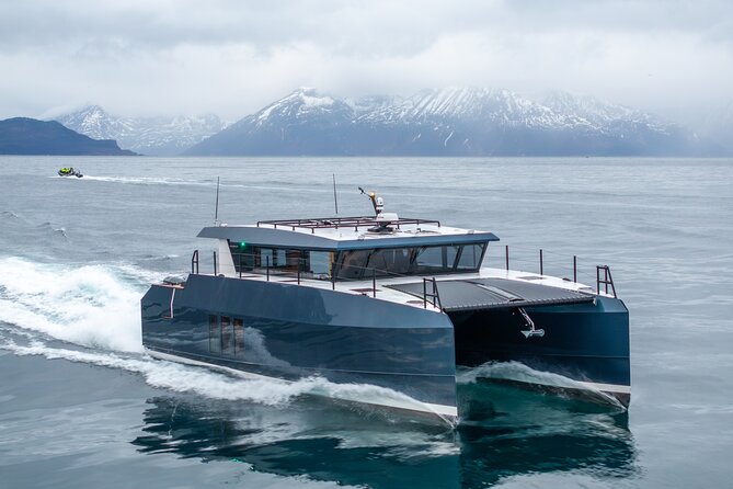 Luxury Whale Watching From Tromso - Small group and local guide - Why Choose This Luxury Whale Watching Tour?