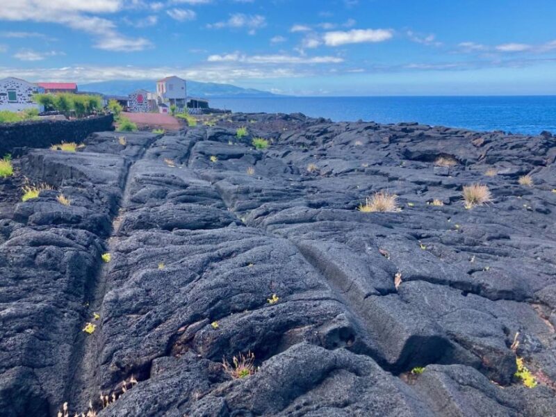 Luxury Wine Tasting at the Czar Pico Winery - Scenic Drive and Walks Through Pico’s UNESCO Vineyards