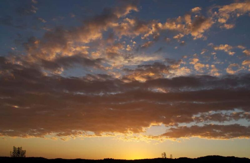 Luxury Winery Tour & Tasting with Local Food in Scansano - Tasting Three Top-Quality Cru Wines