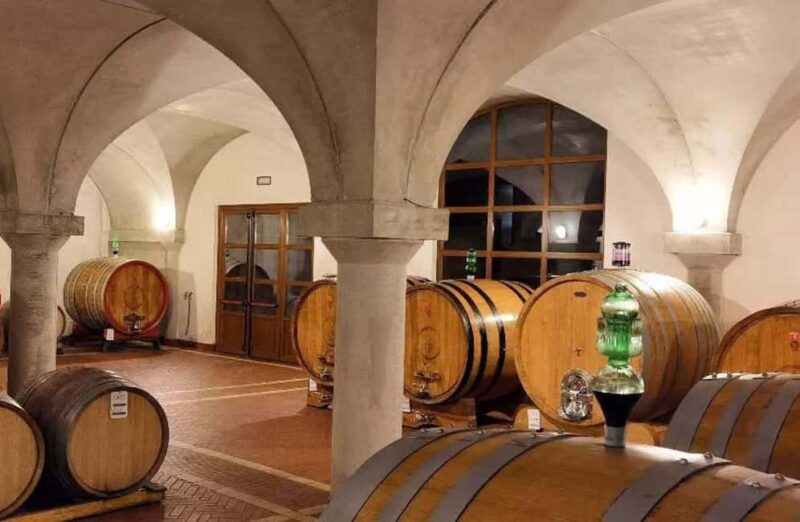 Luxury Winery Tour & Tasting with Local Food in Scansano - The Scenic and Educational Aspects of the Tour