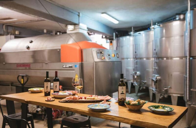 Luxury Winery Tour with Wine and Food Tasting in Sorrento - The Exclusive Sorrento DOP Wine and Its Heritage