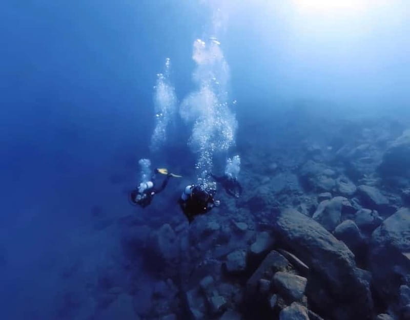 Lygaria Beach: Discover Scuba Diving Plus - Pricing Flexibility and Cancellation Policy