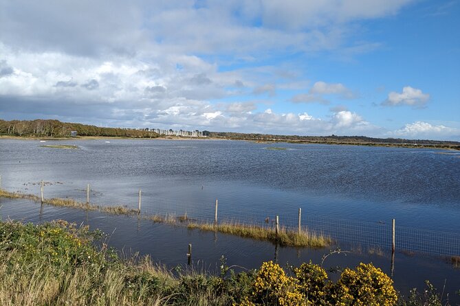 Lymington Wildlife Discovery Walk - Exploring Lymington & Keyhaven Marshes with Expert Guides