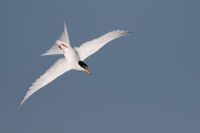 Lymington Wildlife Discovery Walk - Logistics: Meeting Point and Group Size