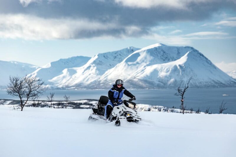 Lyngen: Snowmobile Safari with Lunch in seaside Restaurant - Exciting Arctic Adventure with Snowmobiles in Lyngen
