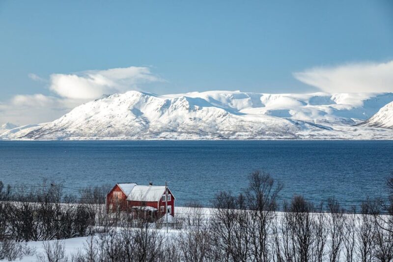 Lyngen: Snowmobile Safari with Lunch in seaside Restaurant - Key Points