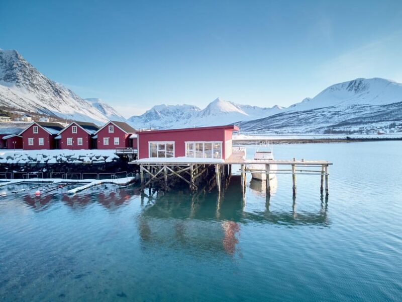 Lyngen: Snowmobile Safari with Lunch in seaside Restaurant - The Lunch at Seaside Restaurant Bøteriet