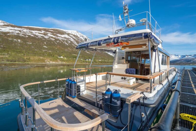 Lyngen: Whale Watching VIP Boat Tour with Lunch - Final Thoughts: A Premium Arctic Wildlife Experience