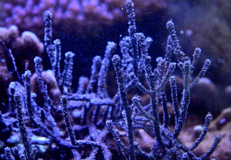 Lyon: Aquarium Entrance Ticket - Booking and Cancellation Policies