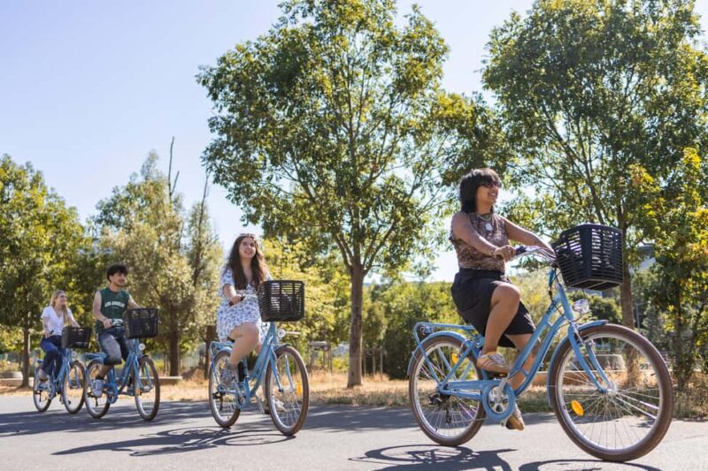 Lyon: city highlights bike tour - Discover Lyon’s Highlights on a 3-Hour Bike Tour for $56