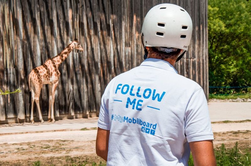 Lyon: City Segway Tour with a Local Guide - Visiting Lyon’s Cultural and Civic Landmarks