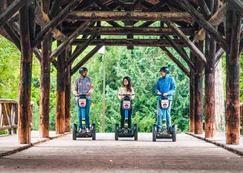 Lyon: City Segway Tour with a Local Guide - Returning to Old Lyon with a Full Overview