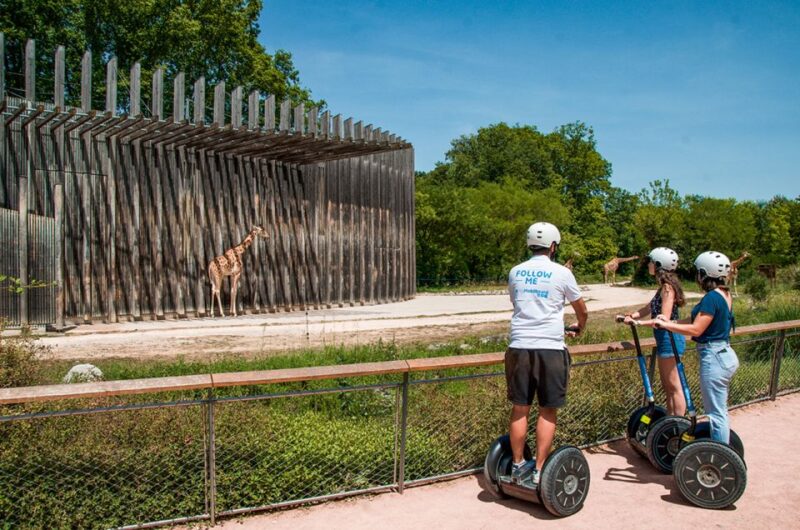 Lyon: City Segway Tour with a Local Guide - Why This Segway Tour Stands Out in Lyon