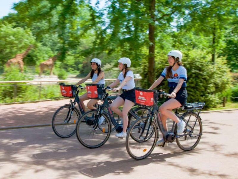 Lyon: Half-day electric bike rental - Explore Lyon at Your Own Pace with Electric Bike Rental