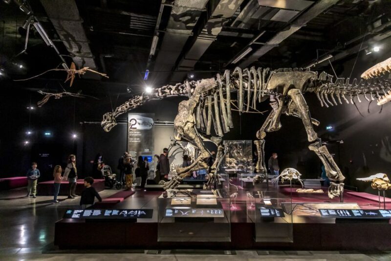 Lyon: Musée des Confluences Entrance Ticket - Highlights of the Permanent Exhibitions