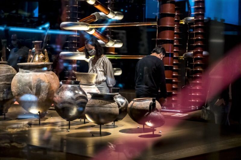 Lyon: Musée des Confluences Entrance Ticket - Visitor Experience and Tips