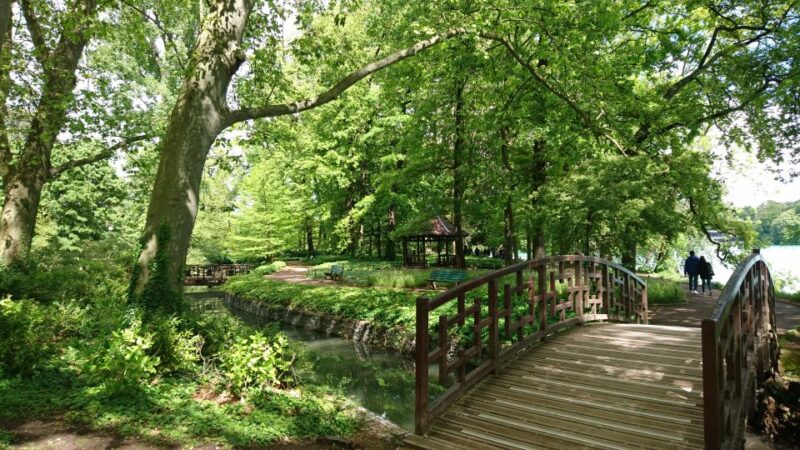 Lyon: 'Parc de la Tête d'Or' Urban Park Walking Tour - Discover Lyon’s Largest Urban Oasis for a Scenic Walk