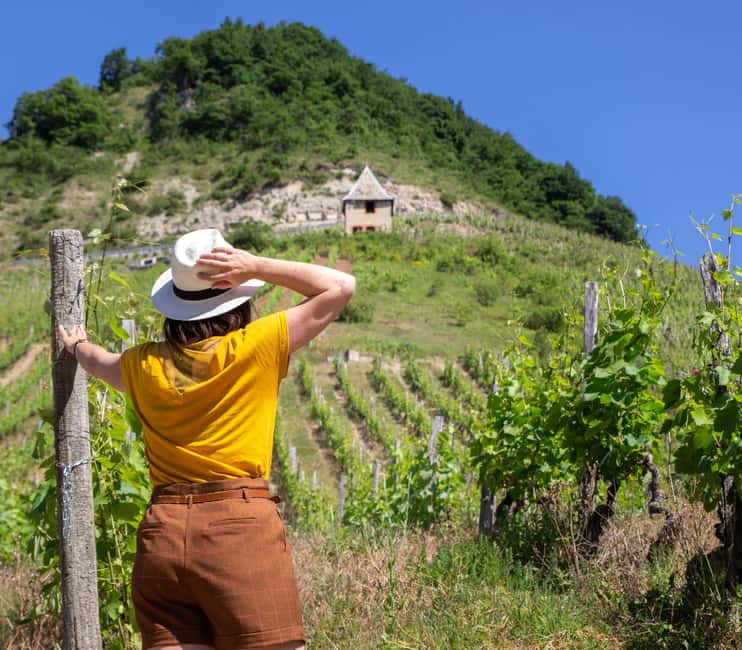 Lyon: Pérouges & Bugey Wine Tour with Tastings - Bugey Winery Visit and Wine Tasting