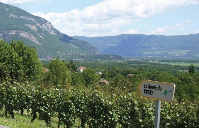 Lyon: Pérouges & Bugey Wine Tour with Tastings - How This Tour Differs From Similar Experiences