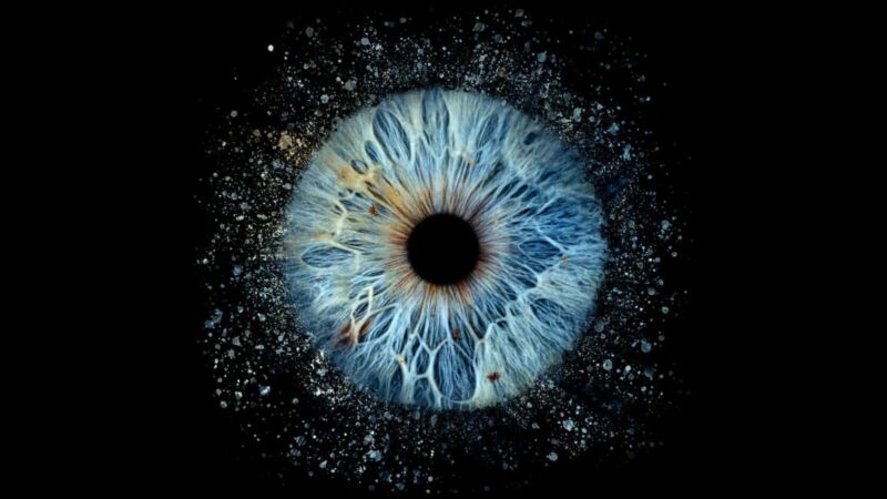 Lyon Saint-Jean: Reveal the beauty of your iris with Iris Galerie - Key Points