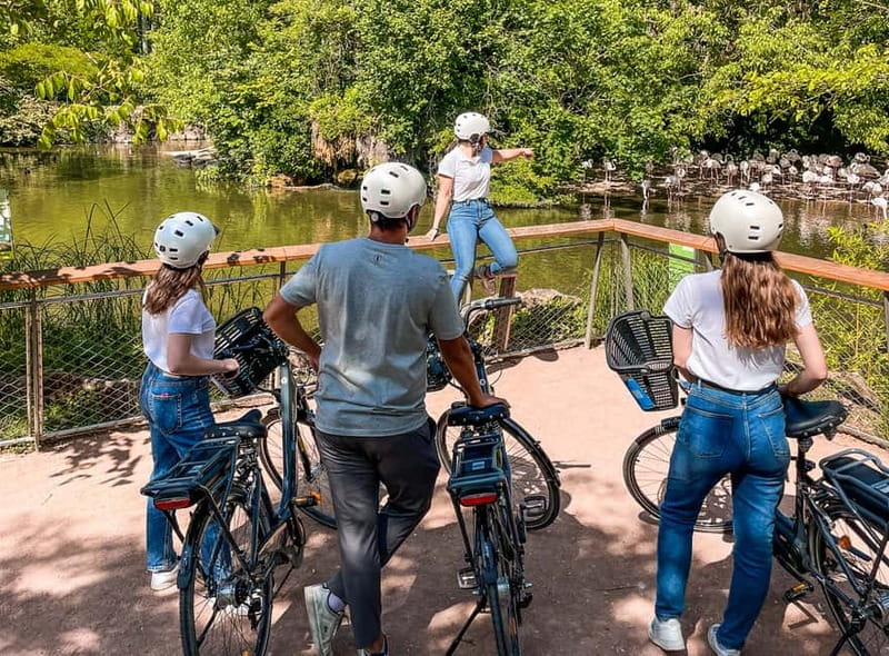 Lyon: Tête d'Or park on an electric bike Tour - The Practicalities and Safety Measures