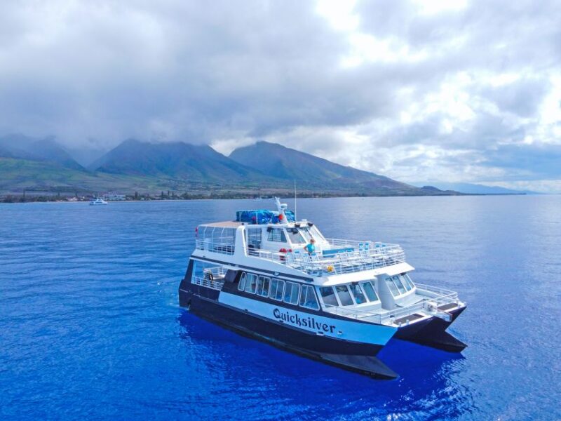 Ma'alaea Harbor: Whale Watching Tour Aboard Power Catamaran - Expert Narration by the Crew