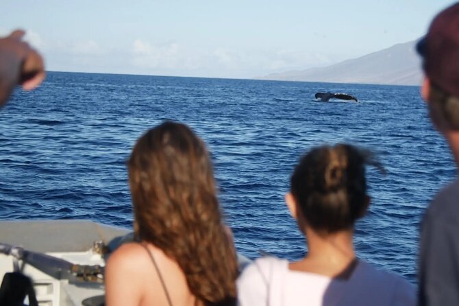 Maalaea Whale Watching Activity Visit - Booking and Cancellation Policies