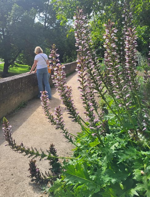 Maastricht Hidden Gems Tour Uncover the Unexpected - Starting at Maastricht-Centrum: The Historic Market Place
