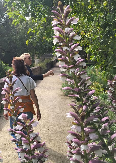 Maastricht Hidden Gems Tour Uncover the Unexpected - Embracing the "Mestreechter Geis" — The Local Spirit