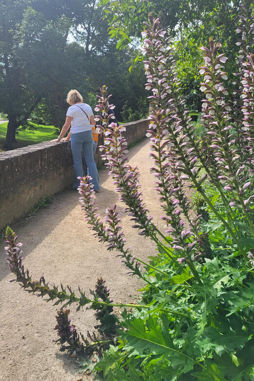 Maastricht Hidden Gems Tour Uncover the Unexpected - Logistics and Customization Options