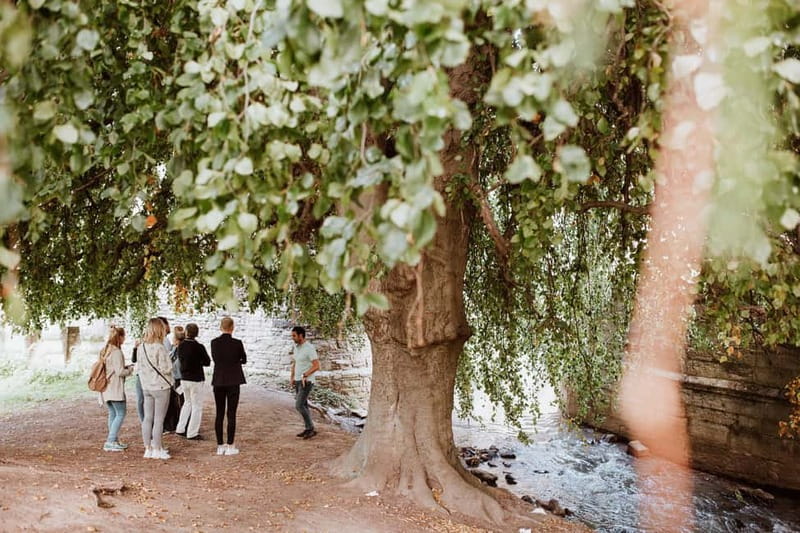 Maastricht: Highlights Tour with a local Guide - Discover Maastricht’s Historic Heart Starting at the Maastricht Store