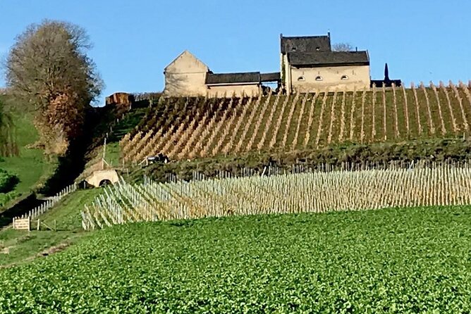 Maastricht Privat Sightseeing City Walk - Maastricht Privat Sightseeing City Walk: Final Thoughts