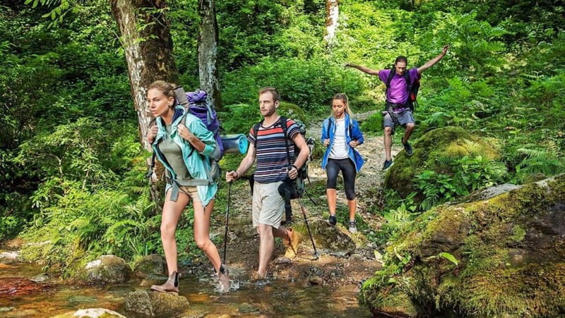 Machakhela Gorge Wine Tour with Lunch From Batumi - Visiting Traditional Wine Cellars and Local Cuisine