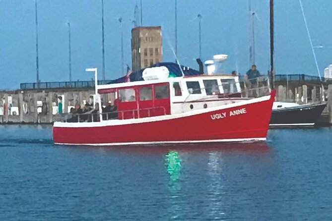 Mackinac Bridge Cruise - Comparing Similar Tours and Additional Activities